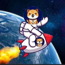 Starship Doge token logo