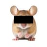 Anonymouse token logo