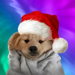 Christmas Dog logo