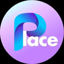 Place Network logo