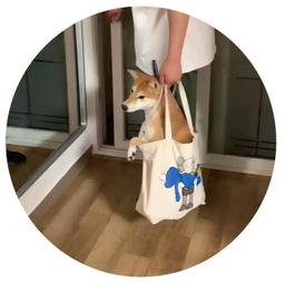 dogwifbag logo