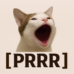 POPCAT REWARD EVERY 15 MINUTES