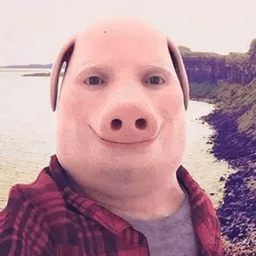 PORK token logo
