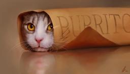 Burrito Cat logo