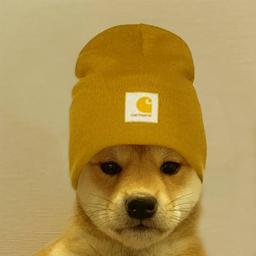 dogwifbeanie logo