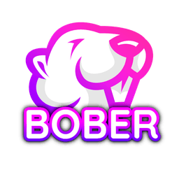 Bober Coin logo