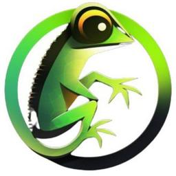 TechGecko logo