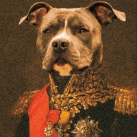 GENERAL DOGGY logo