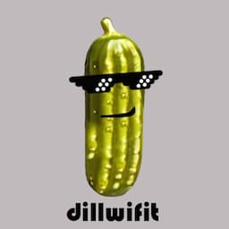 dillwifit logo