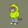 CHILLCAT token logo