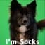 Socks token logo