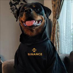 BinanceDog On SOL logo