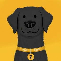 JACKJACK token logo