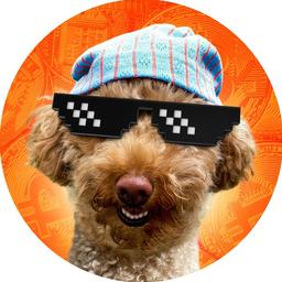 Poodlewifhat logo