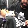 cat getting fade