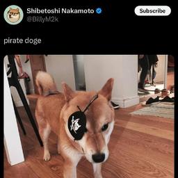 Pirate Doge  logo