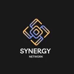 Synergy Network logo