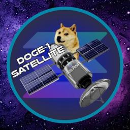 Doge-1 Satellite logo