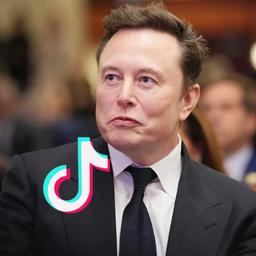 Elon Musk's TikTok logo