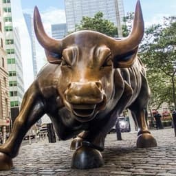 BULL token logo