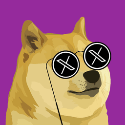 DOGE X