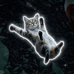 滑る猫 token logo