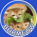 Burmeow token logo