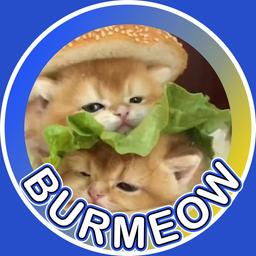 Burmeow logo