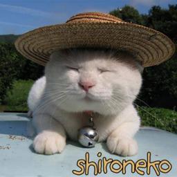 ShiroNeko logo