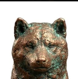 COPPERINU token logo