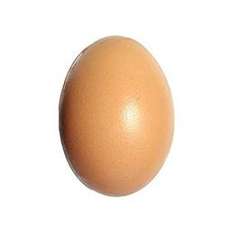 World record egg logo