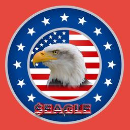 Bald Eagle logo