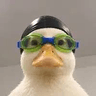 Nasduck token logo