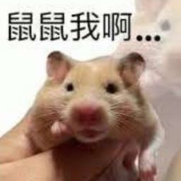 鼠鼠我啊 token logo