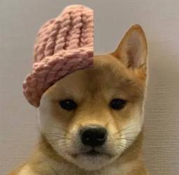 DogWifHalfHat