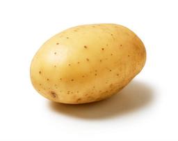 potato logo