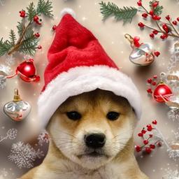 DogWifSantaHat