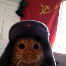 Slavic Cat