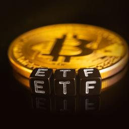 Spot Bitcoin ETF  logo