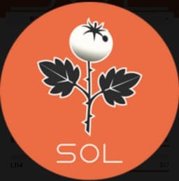 SOL token logo