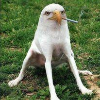 smoking eagle dog logo