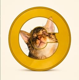CATE token logo