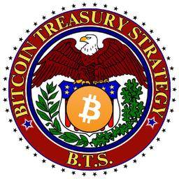 Bitcoin Treasury Strategy logo