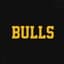 BULLS token logo