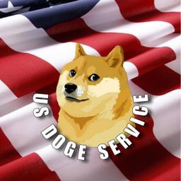 United States Doge Services logo