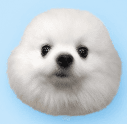 PYONYA token logo
