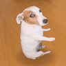 SDOG token logo