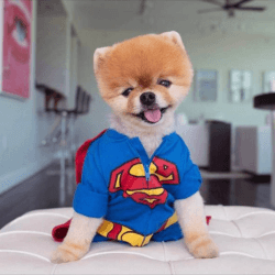 Jiffpom logo