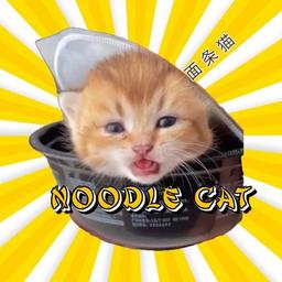 Noodle Cat