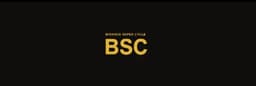 BSC token logo